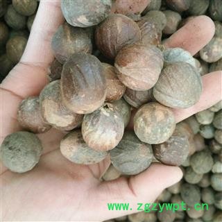 肉豆蔻 香果 统货 产地 广西壮族自治区图2