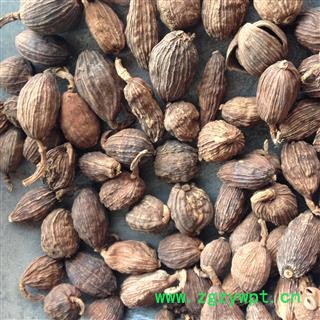 草果 选货   产地 广西壮族自治区图2