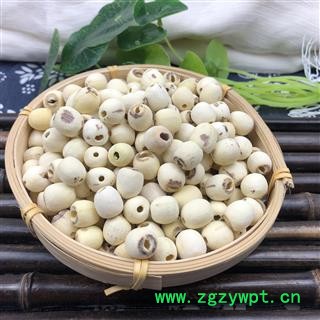 白莲子 江西空心剥皮白莲子选货 产地 江西省图2