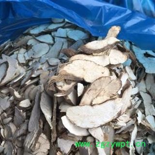 新辉药业雪里开 蛇松子根 地雷根 拐子药根图2