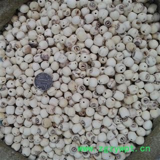 莲子 98%抽芯选个 产地 湖南省湘潭市雨湖区图3