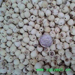 莲子 98%抽芯选个 产地 湖南省湘潭市雨湖区图2