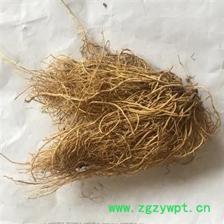 新辉药业中药材细辛 水洗 辽细辛图2