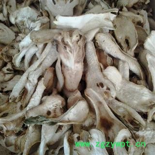 广佛手 统 产地 广西省图2