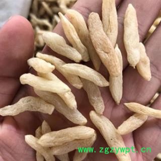 新辉药业麦冬 优质选货图2