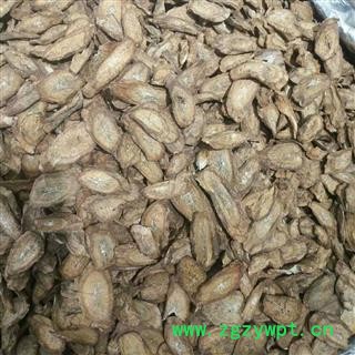 新辉药业正品花茶牛蒡根图2