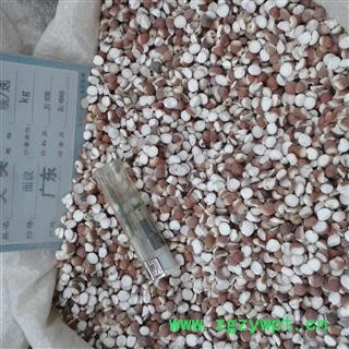 芡实 芡实米 产地 广东省图2