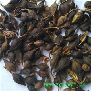 连翘 青翘水煮（汽蒸）统货 产地 河南省图2