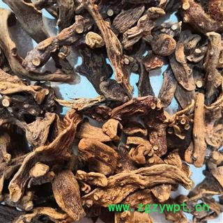 新辉药业中药材骨碎补  申姜图2