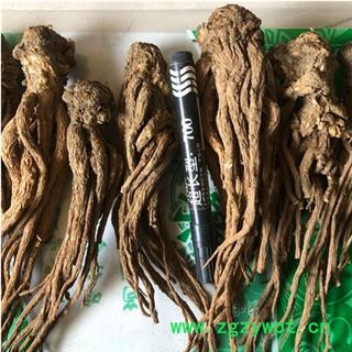 新辉药业正品当归 统 产地 甘肃定西图2