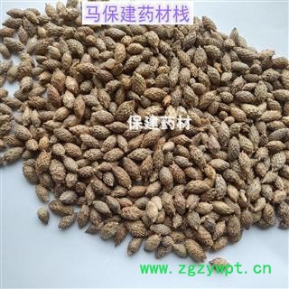 苍耳子 苍耳子后期黄褐色选货 含量高 实物拍摄 产地 内蒙古图2