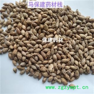 苍耳子 苍耳子后期黄褐色选货 含量高 实物拍摄 产地 内蒙古图4