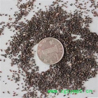 车前子 选货 没有杂质 产地 江西省鹰潭市月湖区 买好药找娟子图4