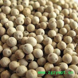 胡椒 白胡椒 产地 海南省 买好药材找娟子图2