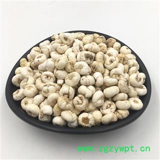 平贝母大选货0,8 产地 浙江 药典标准 地道良药馆1000克图4