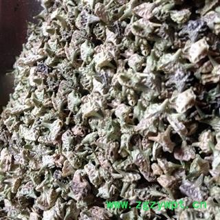 刺蒺藜 白蒺藜 选货 产地 内蒙古自治区图3