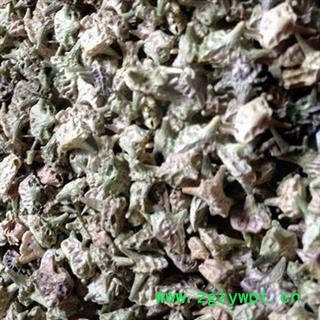 刺蒺藜 白蒺藜 选货 产地 内蒙古自治区图4