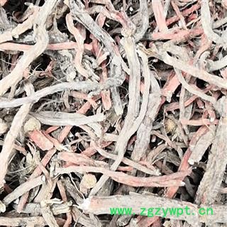 野生丹参 丹参 产地 河南省平顶山市汝州市图2