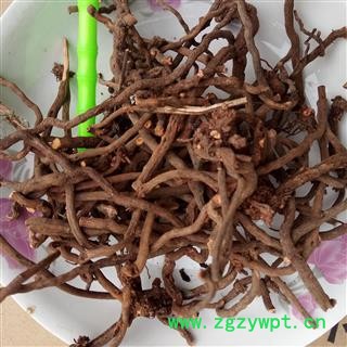 茜草 选 产地 河南省平顶山市汝州市图4