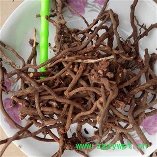 茜草 选 产地 河南省平顶山市汝州市图3