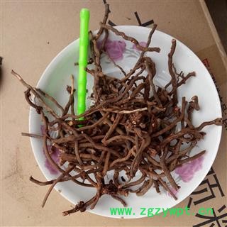 茜草 选 产地 河南省平顶山市汝州市图2