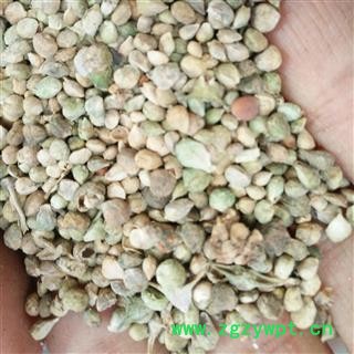 菠菜子 菠菜籽 统货 产地 安徽省图2