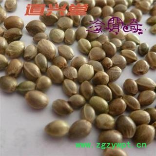 火麻仁 火麻仁大粒 产地 陕西省 带壳 批发经营各种冷背中草药个子图2