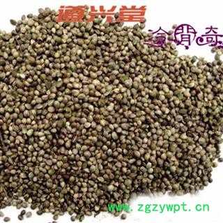 火麻仁 火麻仁大粒 产地 陕西省 带壳 批发经营各种冷背中草药个子图3