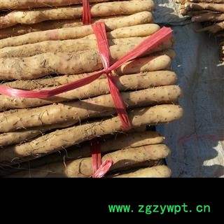 吉康药业山药 鲜山药小白嘴山药5斤装图2