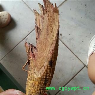 吉康药业 中药材  穿破石  拉牛入石  砍片图2