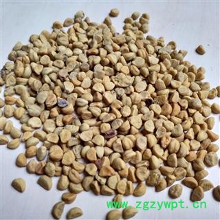 牵牛子 白牵牛子 牵牛子白丑统货 产地 安徽省图2