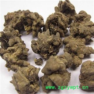 吉康药业猫爪草  小个 小毛茛图2