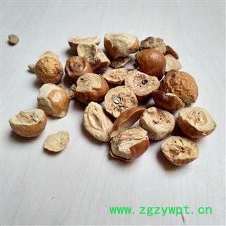 川楝子 统货 产地 四川省图2