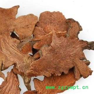 吉康药业金刚刺、金刚藤、菝葜今年新货图2