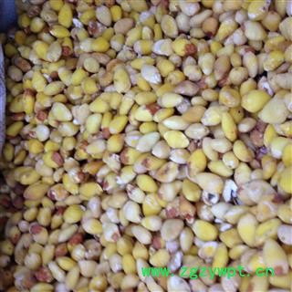 白果 白果仁 银杏仁 白果选 产地 江苏省 批发各种冷背中草药个子图3