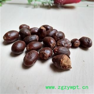 荔枝核 荔枝核统货 产地 广西壮族自治区图2