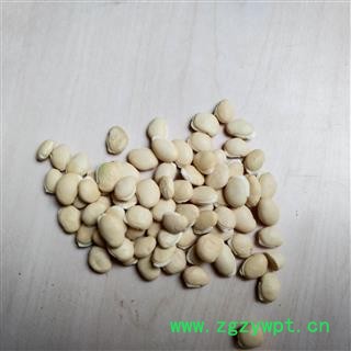 白扁豆 双眼皮白扁豆 黑眉白扁豆 产地 云南省图2