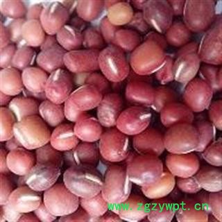 赤小豆 红豆 产地 河南省南阳市宛城区图2