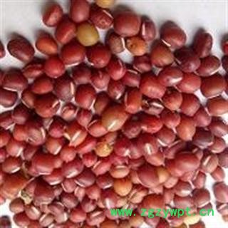 赤小豆 红豆 产地 河南省南阳市宛城区图3