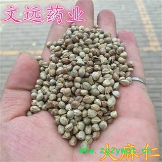 火麻仁 火麻仁大粒 产地 甘肃省武威市市辖区图2