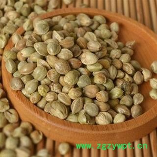 火麻仁 火麻仁大粒 产地 甘肃省武威市市辖区图3