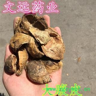 大腹毛 正品 选装 腹皮 选大腹皮 槟榔皮 大腹毛 产地 河北省保定市安国药市图3