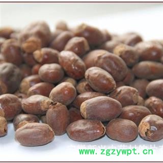 荔枝核 统货 产地 广西壮族自治区桂林市图3