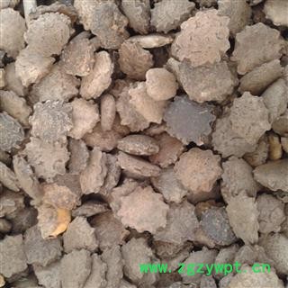 木鳖子 统货 产地 辽宁省图2