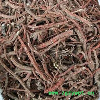 新辉药业丹参 丹参选货图2