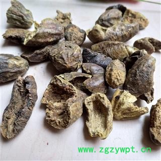 诃子 诃子肉 产地 云南省图2