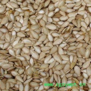 南瓜子 子粒饱满 选 产地 河北省图2