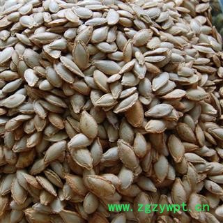 南瓜子 子粒饱满 选 产地 河北省图3