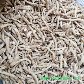 新辉药业中药材人参  小段图2