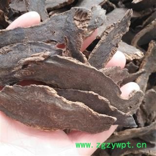 新辉药业玄参 手选大斜片图2